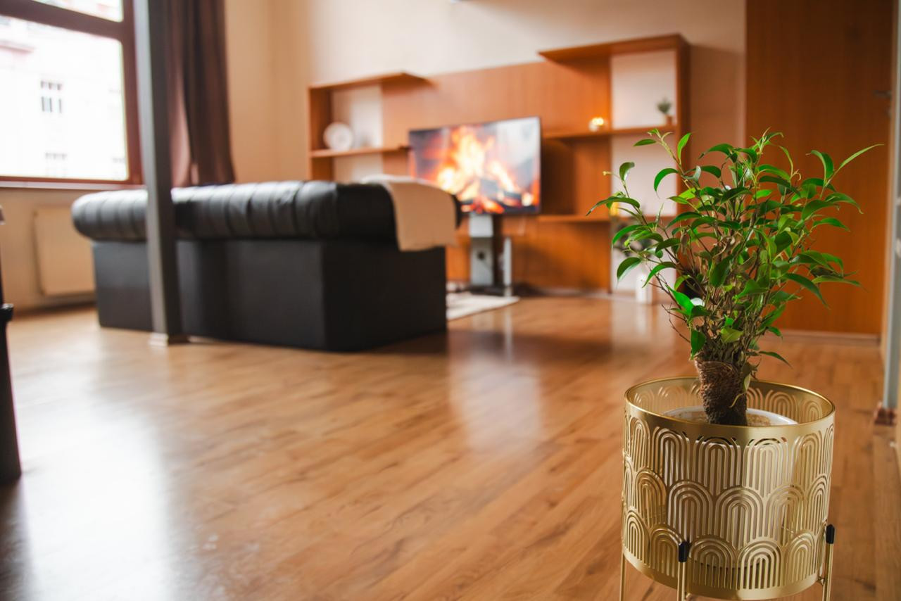 Diskrétní velký APARTMÁN v Praze 8 Palmovka, KLIMATIZACE!